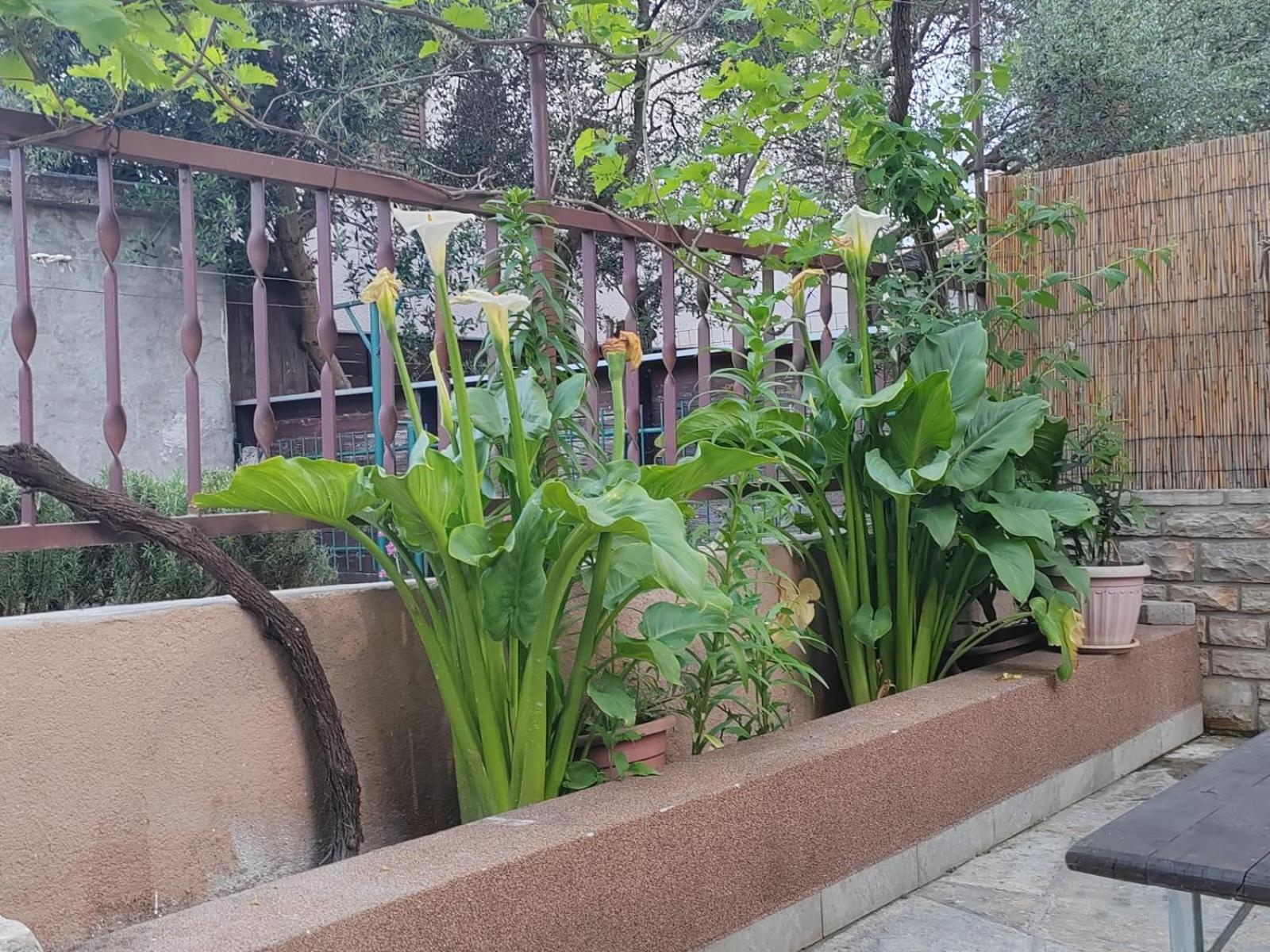 Apartman Oli Zadar Exteriör bild